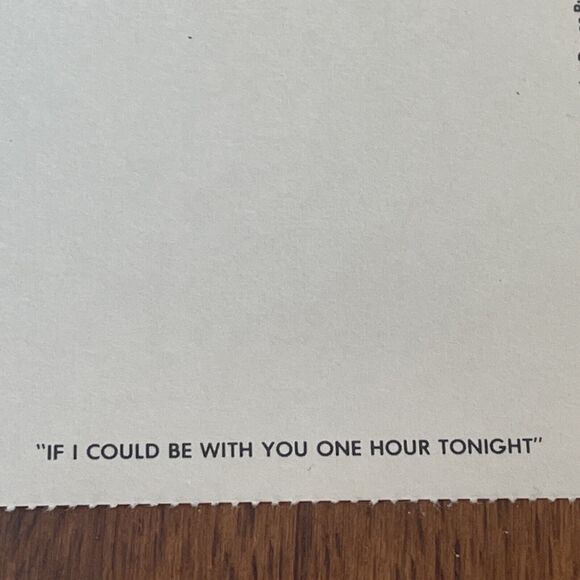 1980 Postcard William Rowe Surreal Botanical Fruit 3 in Lot - Picture 7 of 8